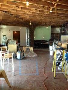 555978_452850371465862_206343692_n