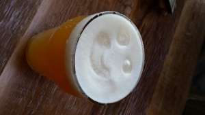 Best Beer_Nelson IPA (1)